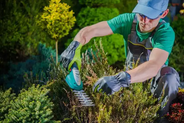 landscaping services Honeoye Falls